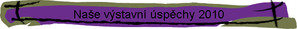 Na�e v�stavn� �sp�chy 2010